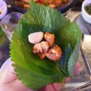 꼼짱먹짱 이미지