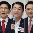 머스크 AI '그록3'가 예측한 국민의힘 당대표, 이미지