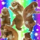 벨러스