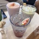 영암 | 영암 무화과카페 무화과 솔직후기/목포 고하도전망대