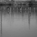 동구릉로 이미지