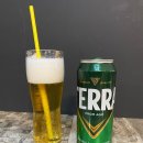 빨대로 마셔보는 청정라거 테라 캔맥주 500ml 용량 칼로리 맛 후기