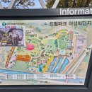 09/19 (토) 꽃밭에 빠지고 싶다 원없이 꽃향기에 취해보자.....인천 드림파크 야생화단지 이미지