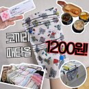 미조약국 | 남대문시장 코끼리타올 1,200원부터 아동복까지｜엄마들끼리 한 바퀴