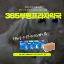 365부평프라자약국 이미지