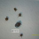 혜인종합동물병원 이미지