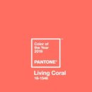 리빙블링 이미지