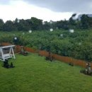 수산리-5 이미지