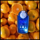 다미농장 이미지