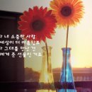 사랑합니다 / 이재훈 이미지