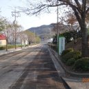 농업기술센터(좌) Daum카페