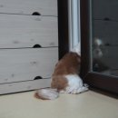 저희 나루예요 ㅋ 이미지