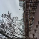 25-12/23-화 자연밥상-아침밥 신도림역광장/주변-산책 왕만두-저녁 이기영형님-크리스마스선물 이미지