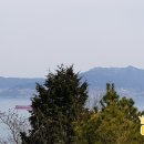 돌산솔로몬공인중개사사무소 이미지