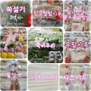 떡방동행