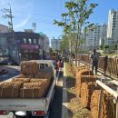 [야자매트] #청주 천변 옆 가로수길 #야자매트 시공