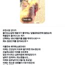 삼정농장2 | 비가오면 다음날이 기대되는 이유 (feat. 5월&amp;6월 예약창 전격오픈!!)