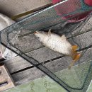 도채낚시터 이미지