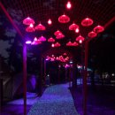 에코 153 이미지