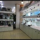 삼덕애견 이미지