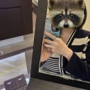 미꼬(Miko) | 미꼬 MIKO 2부 다이아몬드 목걸이 구매 후기 (신상 애로우링 착용 해봄)