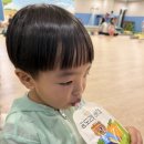 곰도리 | 황금밭 곰도리 배즙 후기 | 30개월 아기 배즙 여러 개 먹여보고 정착 성분·가격 정리