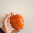청도요가원