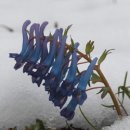 이세한의원 이미지