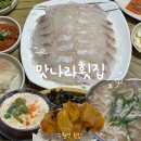 역전 싱싱거리 페스타 | 수원역 횟집 노포 가성비 술집ㅣ주차 편한 수원역전시장 맛집 추천 맛나라횟집