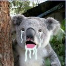 호텔 캘리포니아 이미지