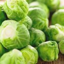 다이어트요가-A 이미지