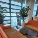 송파사랑정형외과의원 이미지