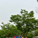 독산근린공원 이미지