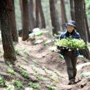 귀산 농장 이미지