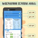 임실농장 이미지