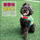 망포드림약국 | 블로그 사이트맵 한눈에 보기편한 목차