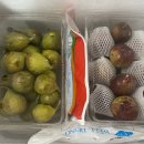 영오농장 이미지