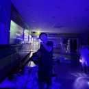 용인대 아이짐 태권스쿨 이미지