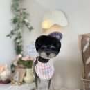 씻을개 이미지