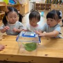 튼튼반 9월 5주 놀이이야기- 2 (교실에서의 놀이 - 배추벌레 / 텃밭놀이-볏짚과 허수아비 / 실외놀이-샘말놀이터) 이미지
