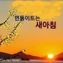 스무이레