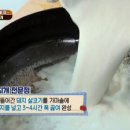 피양콩할마니 이미지