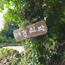 신례초등학교 | 제주 서귀포 펜션 예촌민박 후기