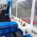 팔마체육관 이미지