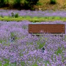 월은농장 이미지