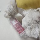 (주)헬로마이펫 | 강아지관절영양제 헬로마이펫 강아지슬개골영양제