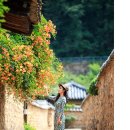 시선이 머무는 곳 이미지