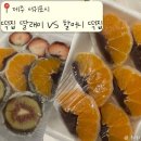 과일집딸래미 | [제주 서귀포시] 서귀포 올래시장 과일모찌 비교 ‘떡집 딸래미vs 할머니 떡집’