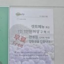 현애원/카페이스틀리 | 제주 여름 여행, 서귀포 성산 이틀리스카페, 수국 명소 현애원