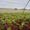 농업회사법인 나라주식회사 이미지